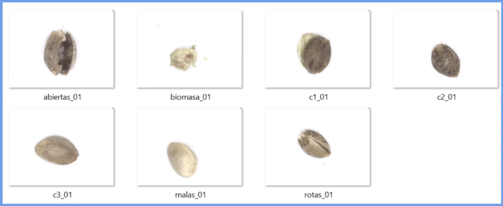 Deep-learning grading at Argirella